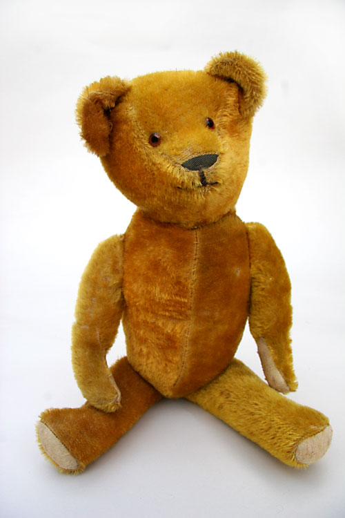 teddy for sale